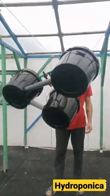 Гидропонные системы для теплиц CALVERIA  RDWC метод