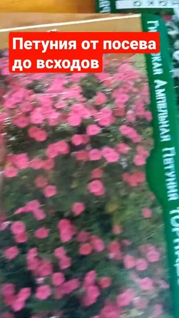 Петуния от посева до всходов Petunia from seed to shoot#shortsvideo #shorts смотреть онлайн