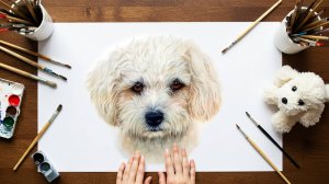 Рисуем Реалистичного Щенка ✏️🎨 | Карандаши + Акварель | Детальная Шерсть шаг за шагом