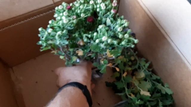 Обзор на посылку!!! Буду ли вновь заказывать??? смотреть онлайн