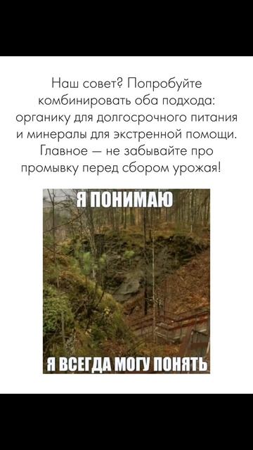 семена по ссылке💚 #семяныч2 #семяныч #семена #шишки #г? смотреть онлайн