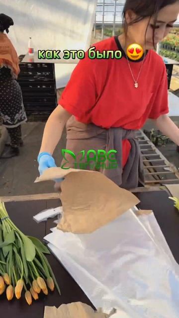 Выгонка тюльпанов 2024. Итоги. #тюльпаны #выгонкатюльпан смотреть онлайн