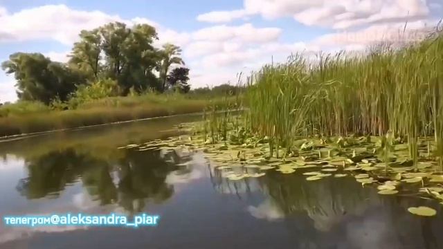 ГОРЯЧАЯ НОВИНКА НОЯБРЯ! ☆ АЛЁНА РОСС/ВЛАДИМИР ЛОМОВ