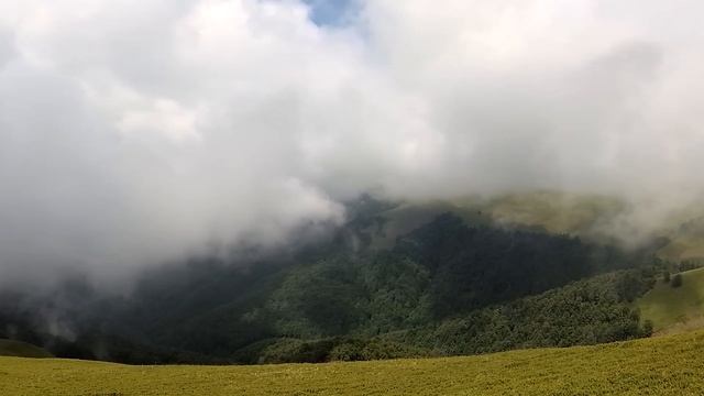 Апецька 03.06.2018