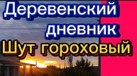 ДЕРЕВЕНСКИЙ ДНЕВНИК "ШУТ ГОРОХОВЫЙ"