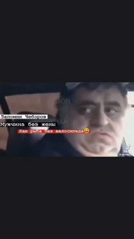 scene_output.mp4