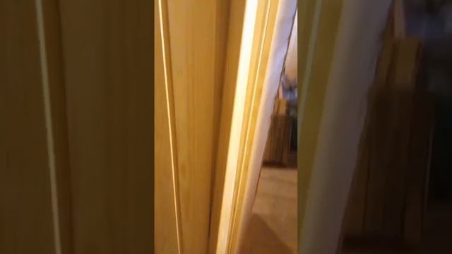 Внутренняя отделка бани #мастерремонтанн #отделкабан?