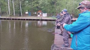 Захватывающие дуэли с форелью на спортивной зоне. Клевое место лосиный остров