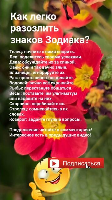 Как легко разозлить знаков Зодиака? / Эзотерика Гороск смотреть онлайн