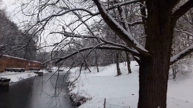 Зимний пейзаж в парке - а снег лежитWinterlandschaft im Park