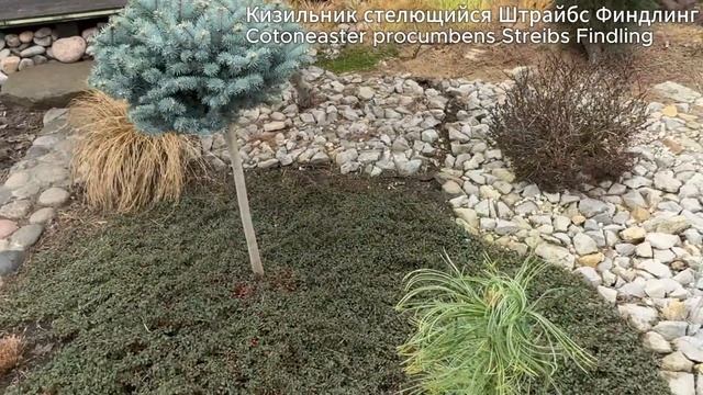 Это кто такой красивый сегодня (1), 06 апреля 2025 г.