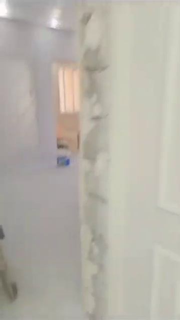 краскораспылитель Rhino 2000