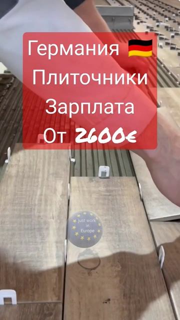 #работать #работа #германия #лес #норвегия #рек #цветы #т