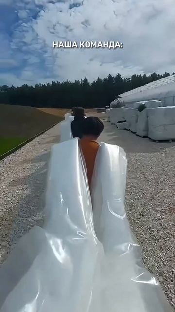 Сделать заказ теплицы или получить консультацию: +7(926)5 смотреть онлайн