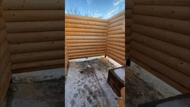 Баня 3х5 2024 #chorts смотреть онлайн