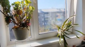 Продажа 3-х комнатной квартиры в Заводском районе