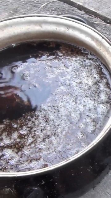 Как ЗАВАРИТЬ ЧАГУ БЕРЕЗОВУЮ Тайга Таежная Печь Костер смотреть онлайн