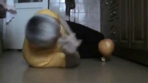 ГЕННАДИЙ ГОРИН – КОТ