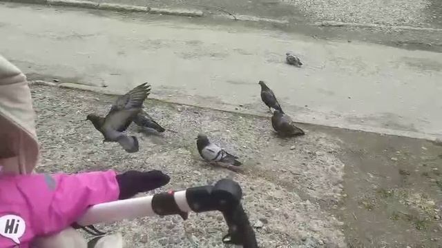 Внучка моя на прогулке ! Урал!