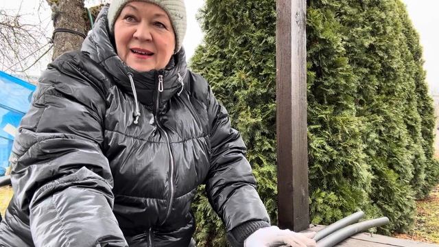 ЭСТОНИЯ.ДАЧНИКИ. ВИНОГРАД на ЗАБОРЕ. ОНО ВАМ НАДО???