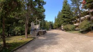 Голубая дача,"Зарница" тут я не гулял! 🌴ЛАЗАРЕВСКОЕ СЕ