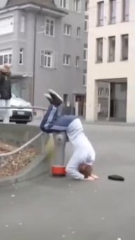 Прикольные видео