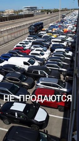 В портах Европы скопились тысячи непроданных авто!