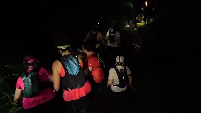 Crazy Owl 2024 (Воронеж) смотреть онлайн