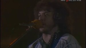 Машина Времени - Флюгер.( Live 1989)
