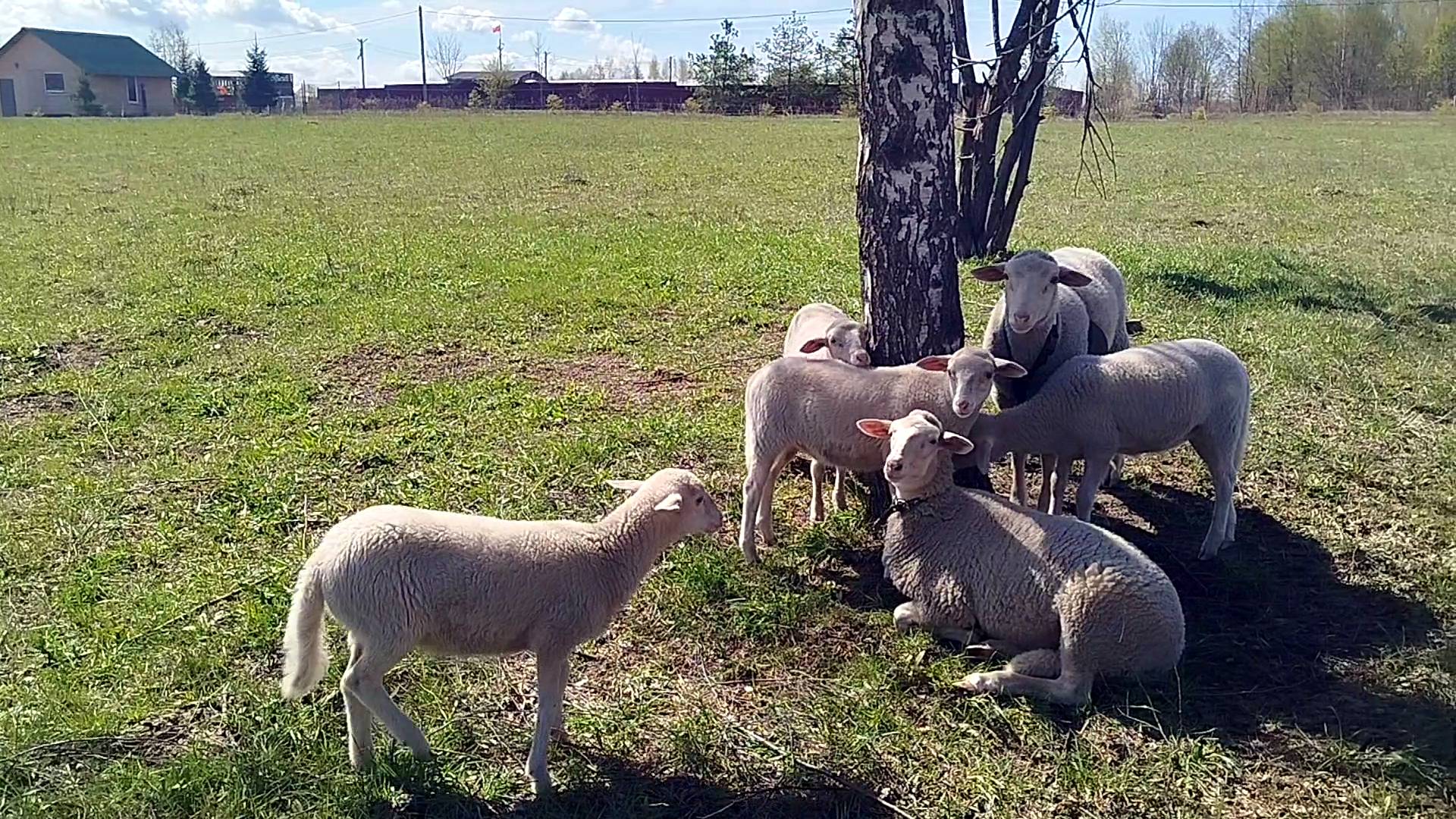 И СНОВА ЛЕТО ЗДРАВСТВУЙ🌷❄️🌼🪻