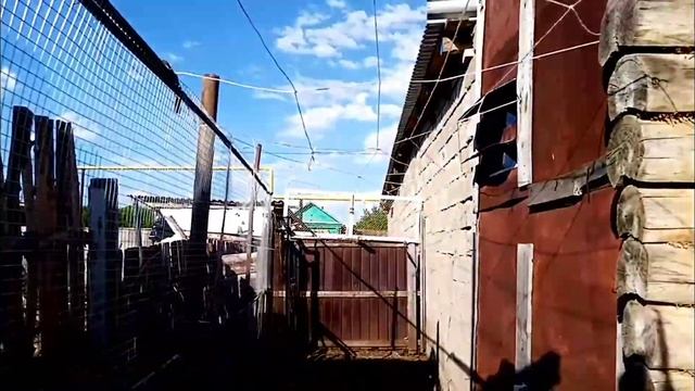 Курятник своими руками. Курятник в дровнике. Загон для