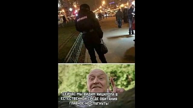 Лютые приколы  ФОРСАЖ УЖЕ НЕ ТОТ! Самое смешное видео! Засмеялся проиграл! – Dom смотреть онлайн