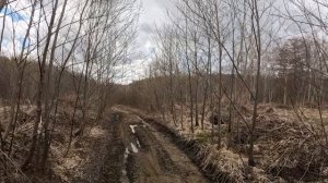 Понедельник | ATV Сахалин | РМ 500 - 2 |