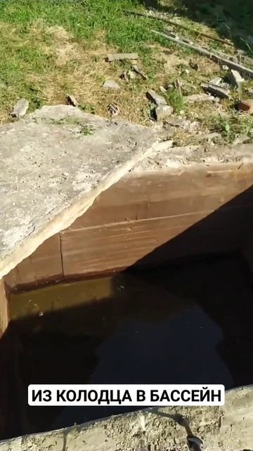 Из колодца в бассейн #болезньпаркинсона #синоби #исцел