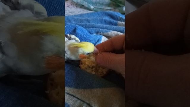 1000013138.mp4
