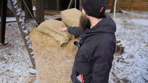 Матрас для бани из лугового сена - это отличное решени?