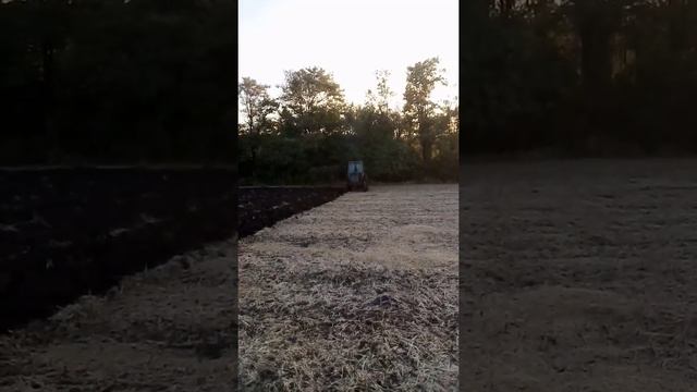 ОРАНКА ПЛУГОМ ПЛН-3-35 З УГЛОСНІМАМИ. ТРАКТОР ЮМЗ-6 З ДВИ? смотреть онлайн