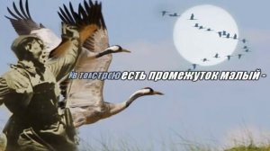 ЖУРАВЛИ (Р.Гамзатов, Я.Френкель)