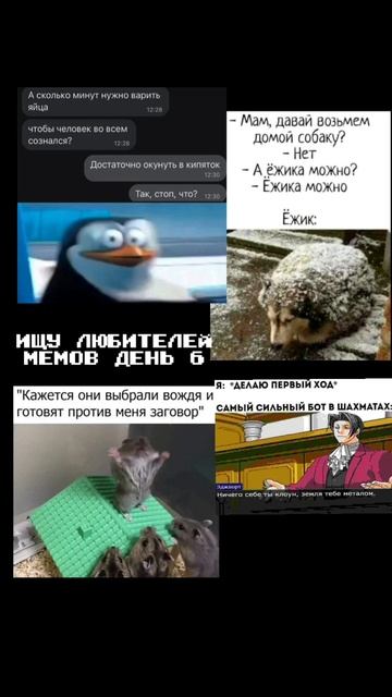 Ищу любителей мемов , часть 6