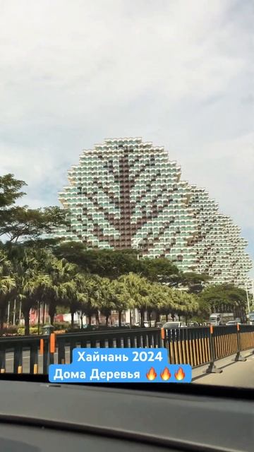 Хайнань 2024. Дома Деревья огонь 🔥 🔥🔥 смотреть онлайн