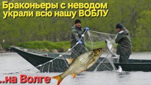 🔥Рыбаки-артельщики с неводом - украли нашу ВОБЛУ🔥рыбалка на Волге в Астрахани !!!