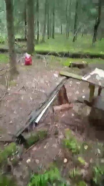 Лесная стоянка смотреть онлайн