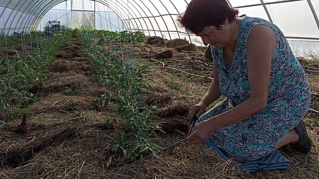Труд на земле. Теплица. Целина. Родовое поместье.
