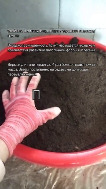 #сад#огород #озеленение #участок смотреть онлайн