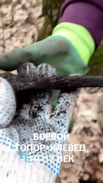 Нашли древний боевой топор клевец в старинном лесу с м смотреть онлайн