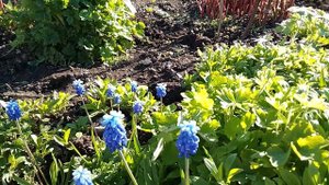 С добрым утром!