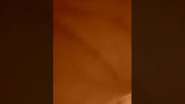 Нтш млс смотреть онлайн