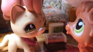 LPS сериал: Романтика холодных школ ~ 1 сезон 5 серия ~