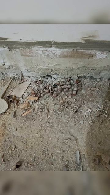 Ремонт гостевой спальни. Часть 1: Разбираем полы #gugarkhomi смотреть онлайн