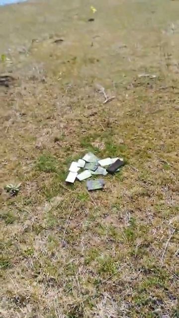 Посадка деревьев смотреть онлайн